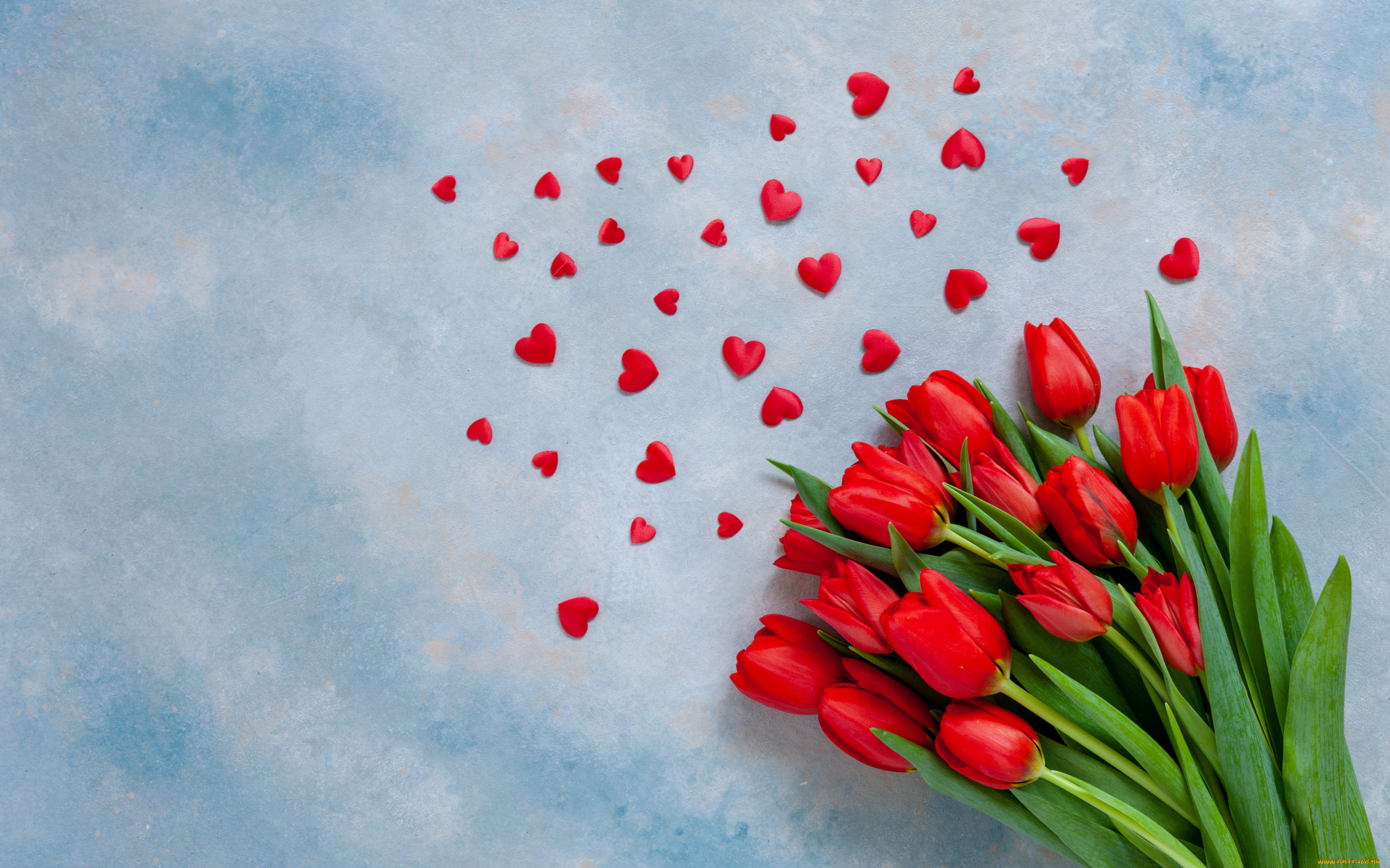 ,   ,  ,  , , , , red, love, romantic, hearts, tulips